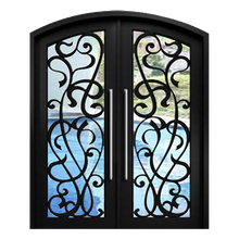 Load image into Gallery viewer, Eros Double Iron Doors - Custom Pivot Door
