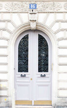 Load image into Gallery viewer, Marseilles Double Iron Doors - Custom Pivot Door