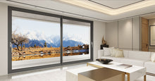 Load image into Gallery viewer, Thermal break sliding doors - Custom Pivot Door