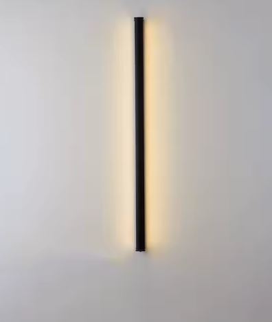 Wall Light - Custom Pivot Door