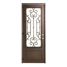 Load image into Gallery viewer, Aphrodite Single Iron Door with Operable glass - Custom Pivot Door
