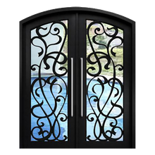 Load image into Gallery viewer, Eros Double Iron Doors - Custom Pivot Door
