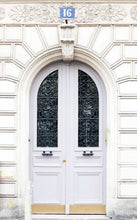 Charger l&#39;image dans la galerie, Marseilles Double Iron Doors - Custom Pivot Door
